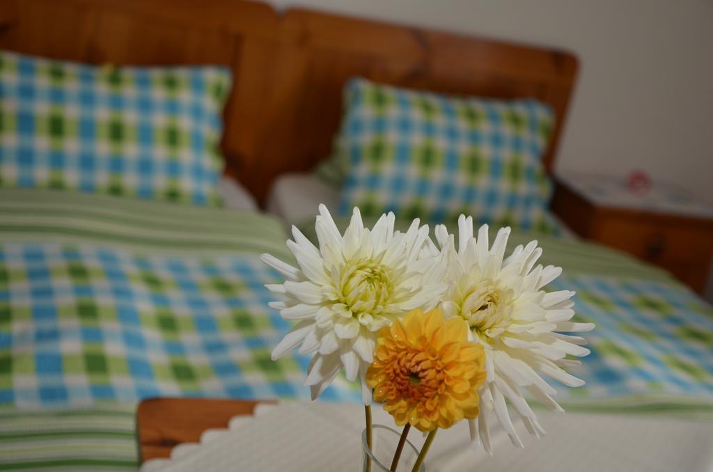 Haus Dachstein Schnitzer Hotel Eben Im Pongau Kamer foto